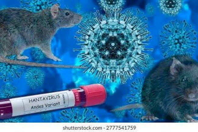 Diagnosis dan Tatalaksana Penyakit Virus Hanta