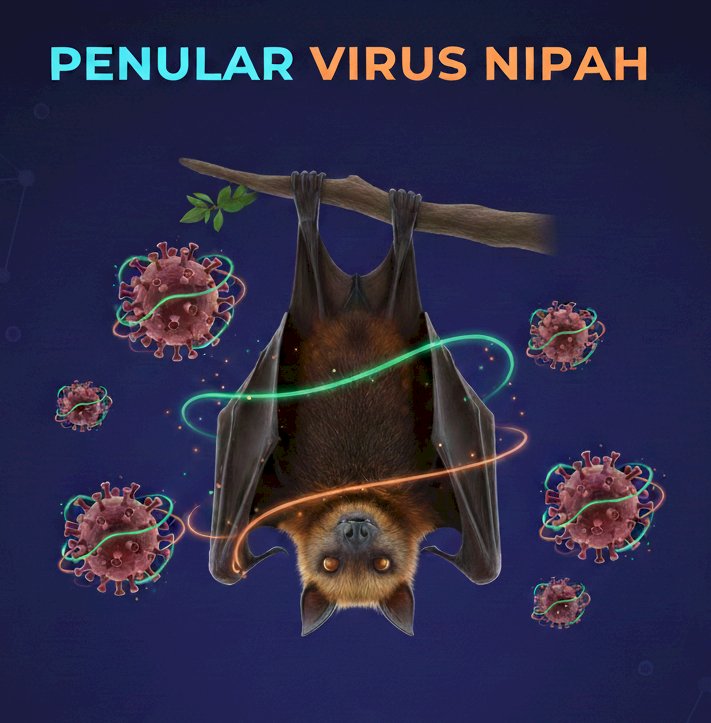 Mengenal Virus Nipah Dan Gejalanya